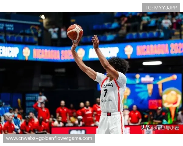 奇才失误频发致败,尼克斯篮板优势转化二次进攻